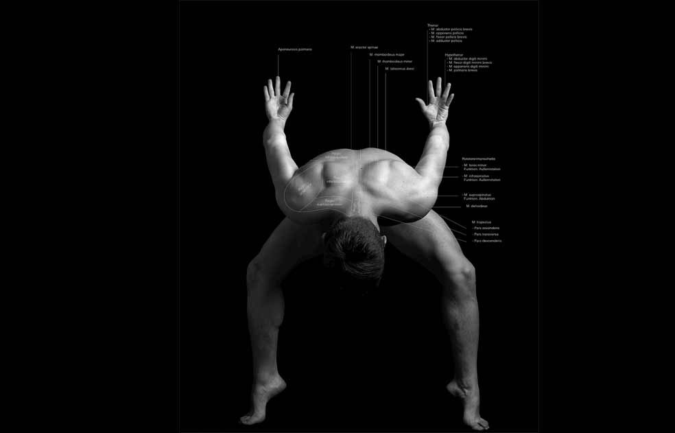 Anatomie-Kalender 2019