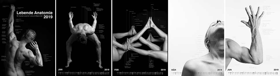 Lebende Anatomie 2019 - Ein Kalender zwischen Kunst und Wissenschaft