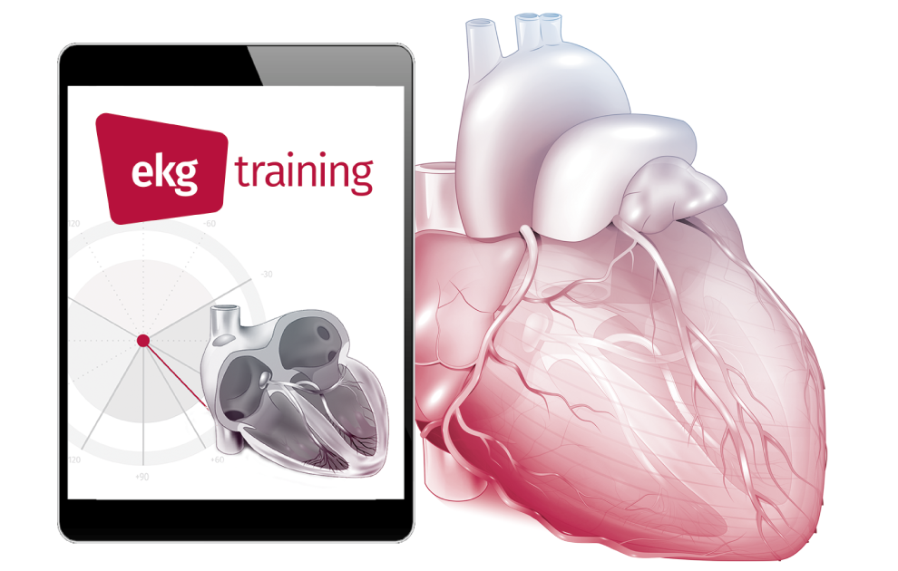 ekg.training: revolutionär und einmalig!